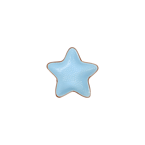 Blue Star Ceramic Plate